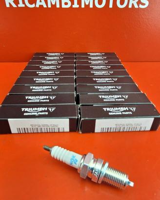 CANDELA ACCENSIONE TRIUMPH