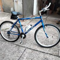 Bici OLMO uomo 26