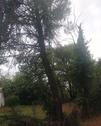 giardino e fai da te