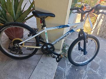 Bicicletta per bambini 