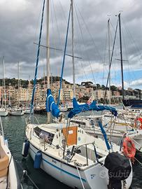 barca a vela 8mt