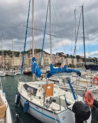 barca a vela 8mt