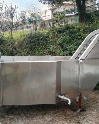 Vasca lavaggio ortaggi frutta e sciacquatrice