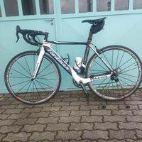 bici da corsa Rodman 