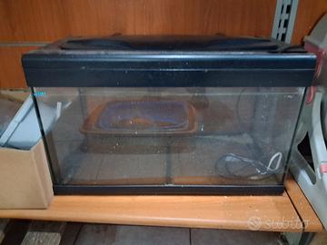 acquario usato 
