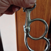 Imboccatura cavallo