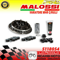 Variatore Malossi t max 530