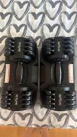 Manubri regolabili da 2-12 kg