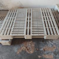 Pancali pellet plastica