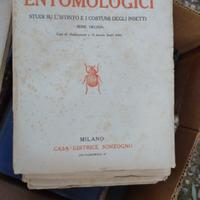 I.Henry Fabre , ricordi entomologici