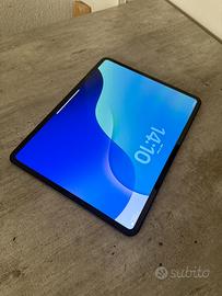 iPad Pro 13” M4 1 Tera