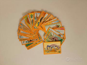 Carte Dinocard Story