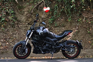 Benelli 502c + scarico Arrow completo