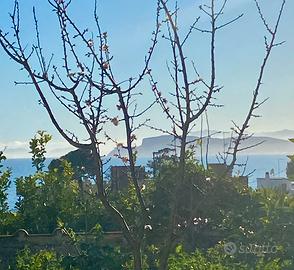 Bivano a pochi passi dal mare