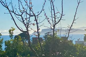 Bivano a pochi passi dal mare