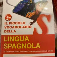 Dizionari come nuovi – metà prezzo