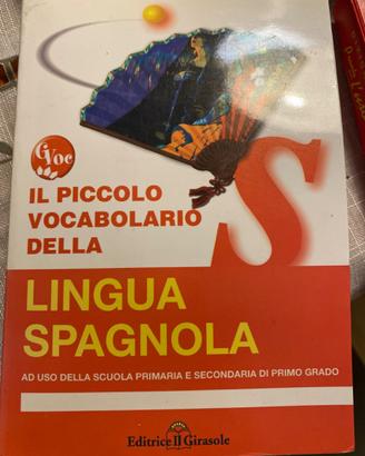 Dizionari come nuovi – metà prezzo