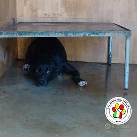 OKOM giovanissimo dai calzini bianchi