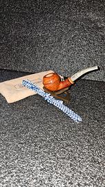 Pipa Rhodesian 