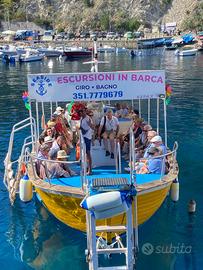 Barca per escursioni
