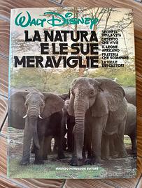 La natura e le sue meraviglie