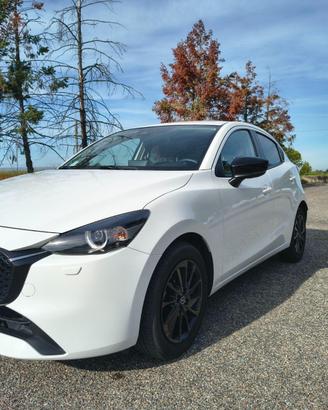 Mazda 2 Homura 