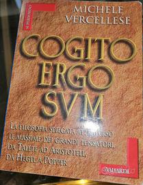 cogito ergo sum 