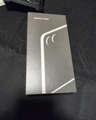 flip 7 512 gb usato