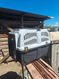 gabbia porta cani 