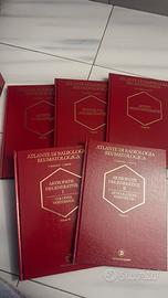 Atlante di radiologia reumatologica Vol.5