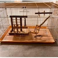 Gabbia Cocorite o Inseparabili