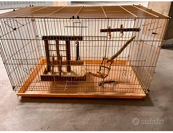 Gabbia Cocorite o Inseparabili