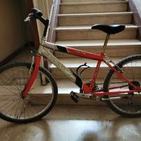 Bici MTB Olmo Young x bambino