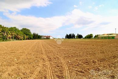 TER. RESIDENZIALE A BAGNARIA ARSA