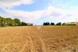 TER. RESIDENZIALE A BAGNARIA ARSA