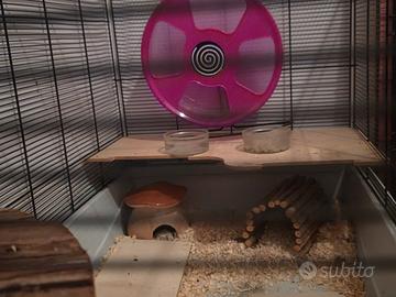 appartamento  per criceti