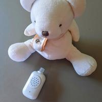 Teddy orsetto peluche cantastorie 