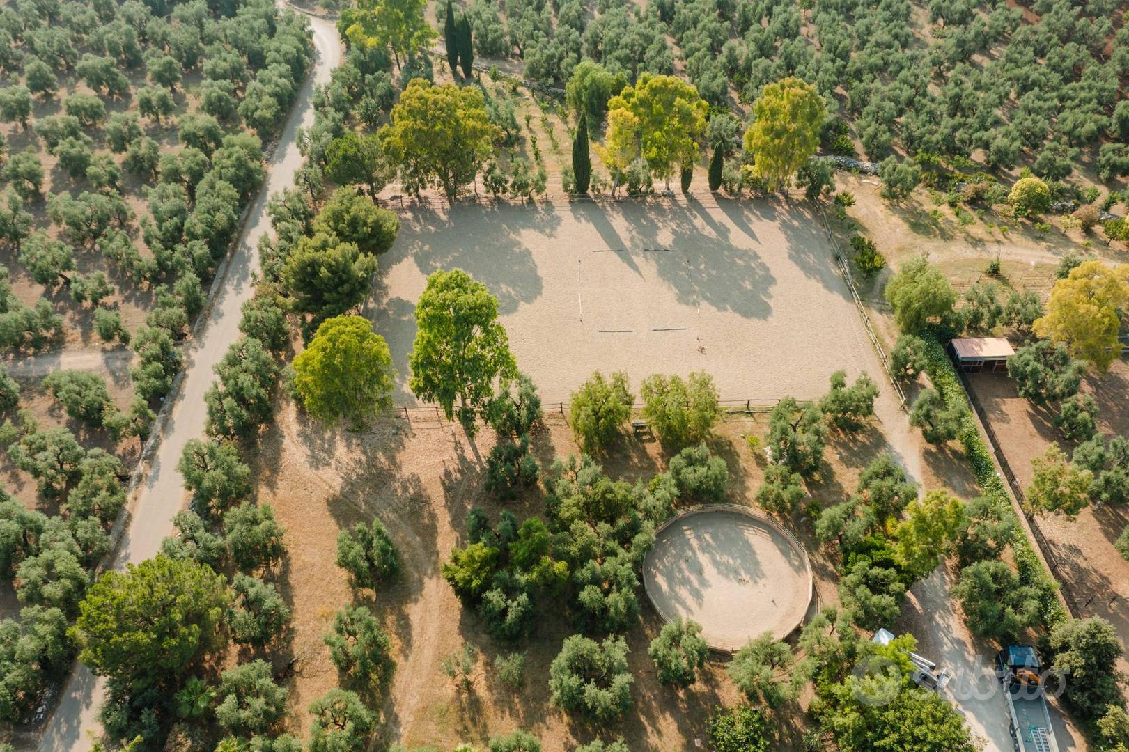 Masseria - Bisceglie - Vista 5
