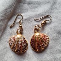 orecchini conchiglia 