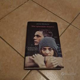 Uno splendido disastro