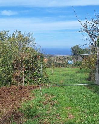 Castanea,terreno agricolo di circa 3300mq,