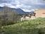 Immagine 14