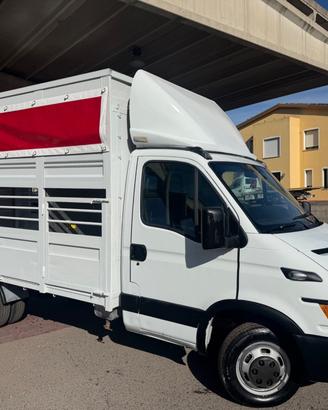 Iveco Daily 35c13 2.8 130cv trasporto animali vivi