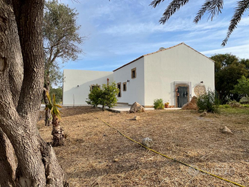 Intera villa con parco di ulivi spiaggia S. Lorenz