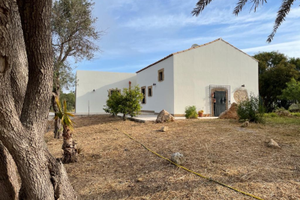 Intera villa con parco di ulivi spiaggia S. Lorenz