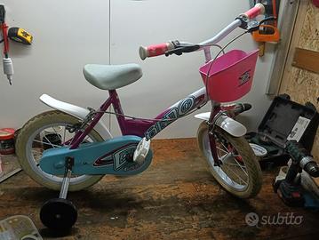 bicicletta dino