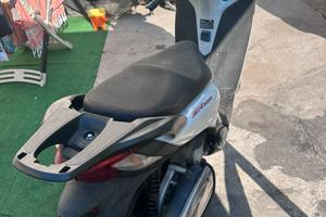 sh 300 anno 2009