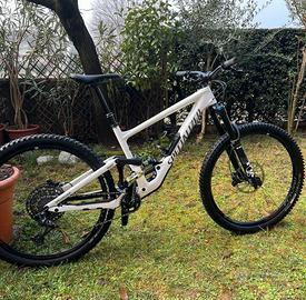 Specialized Enduro Expert