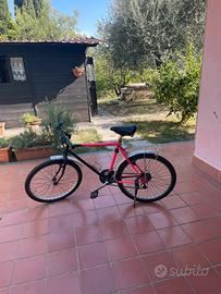 Mountain Bike / bicicletta con portapacchi - usata