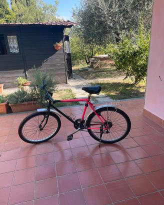 Mountain Bike / bicicletta con portapacchi - usata